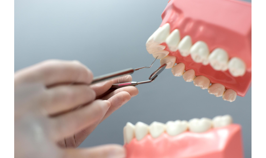 轉知-樹人醫專牙體技術科活動通知